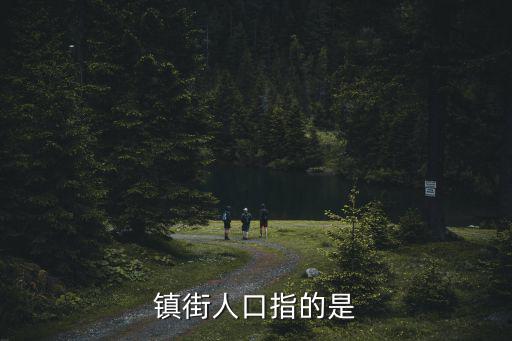 鎮街人口指的是