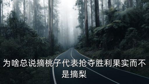 摘桃子，摘桃子的摘是幾畫