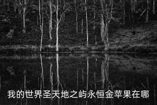我的世界圣天地之嶼永恒金蘋果在哪
