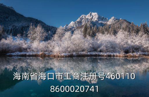 海南省海口市工商注冊號4601108600020741