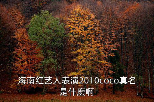 海南紅藝人表演2010coco真名是什麼啊