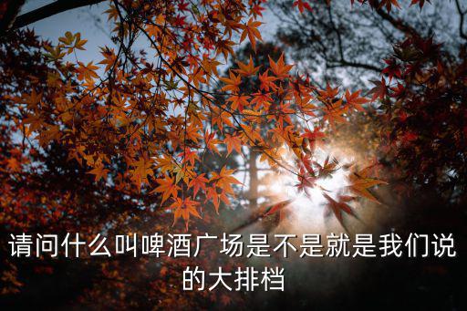 請問什么叫啤酒廣場是不是就是我們說的大排檔
