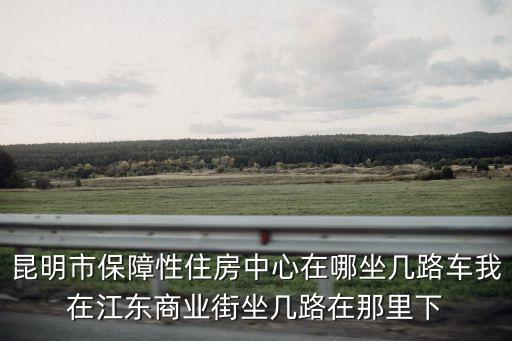 昆明市保障性住房中心在哪坐幾路車我在江東商業街坐幾路在那里下
