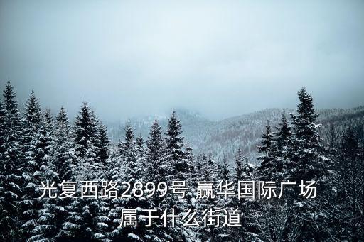 光復西路2899號 贏華國際廣場 屬于什么街道