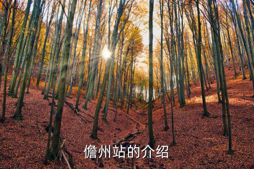 儋州站的介紹