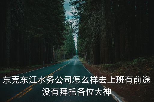 東莞東江水務公司怎么樣去上班有前途沒有拜托各位大神