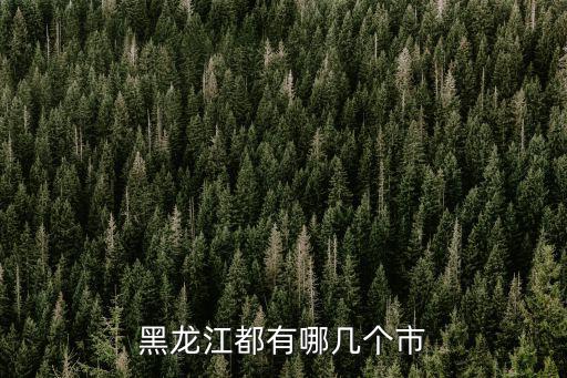 黑龍江都有哪幾個市