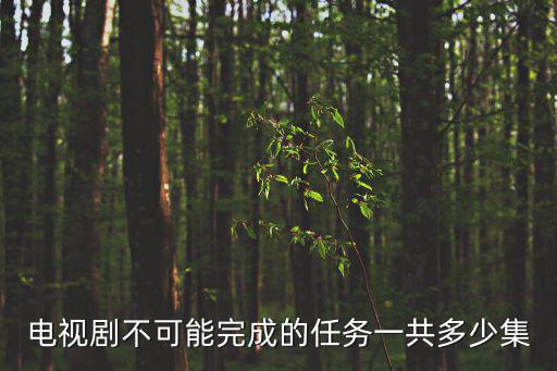 不可能完成的任務(wù)電視劇，電視劇不可能完成的任務(wù)一共多少集