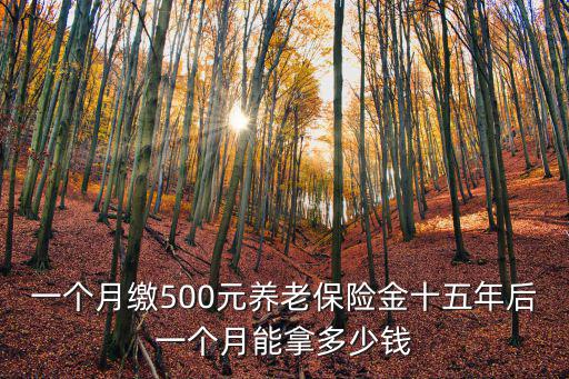 一個(gè)月繳500元養(yǎng)老保險(xiǎn)金十五年后一個(gè)月能拿多少錢(qián)