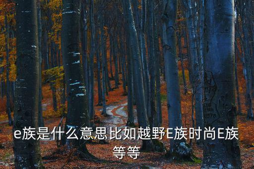 e族是什么意思比如越野E族時尚E族等等