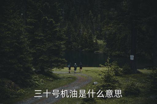 三十號機油是什么意思