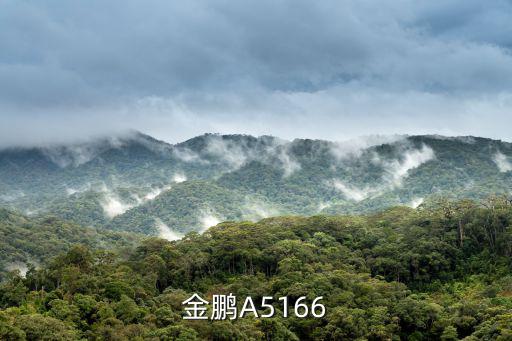 金鵬A5166