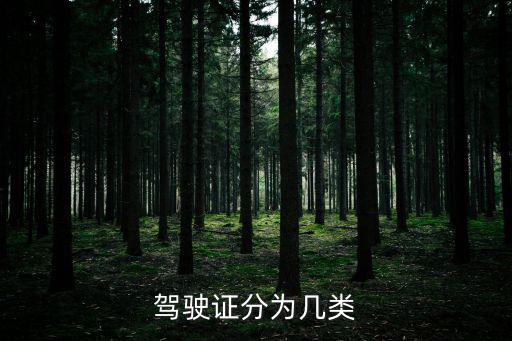 駕駛證分為幾類