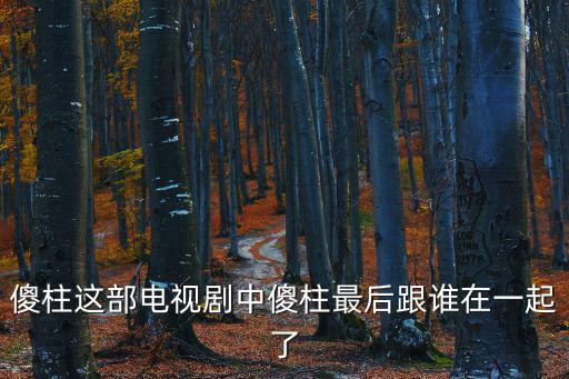 傻柱這部電視劇中傻柱最后跟誰在一起了