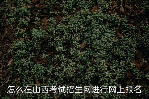 怎么在山西考試招生網(wǎng)進(jìn)行網(wǎng)上報名