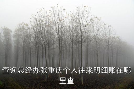 查詢總經辦張重慶個人往來明細賬在哪里查