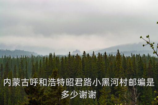 內蒙古呼和浩特昭君路小黑河村郵編是多少謝謝