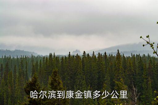 哈爾濱到康金鎮多少公里