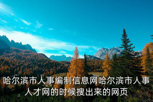 哈爾濱市人才網，也在哈爾濱市人力資源和社會保障局但是為啥在哈爾濱市人才