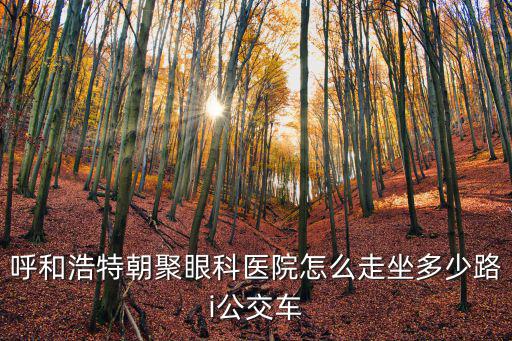 呼和浩特朝聚眼科醫(yī)院怎么走坐多少路i公交車