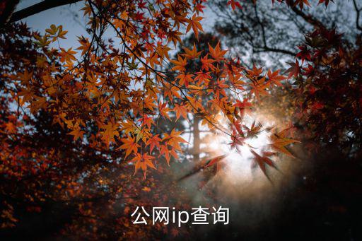 公網(wǎng)ip查詢