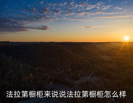 法拉第櫥柜來說說法拉第櫥柜怎么樣
