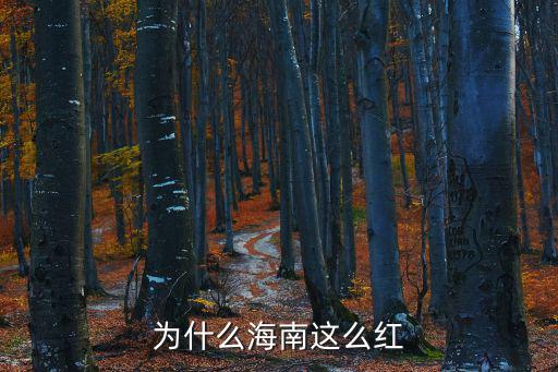 為什么海南這么紅
