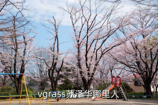 vgrass蘇澤華哪里人