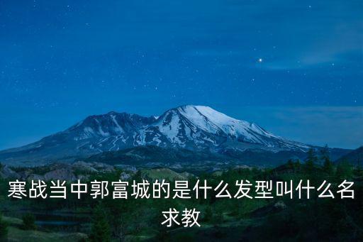 寒戰(zhàn)當(dāng)中郭富城的是什么發(fā)型叫什么名求教