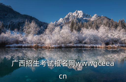 廣西招生考試報名網wwwgceeacn