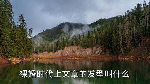 裸婚時代上文章的發型叫什么