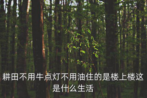 莞香樓，耕田不用牛點燈不用油住的是樓上樓這是什么生活