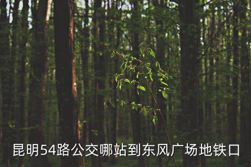 昆明54路公交哪站到東風(fēng)廣場(chǎng)地鐵口