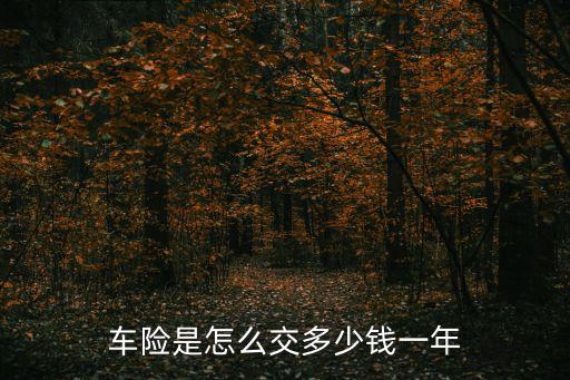 車險是怎么交多少錢一年