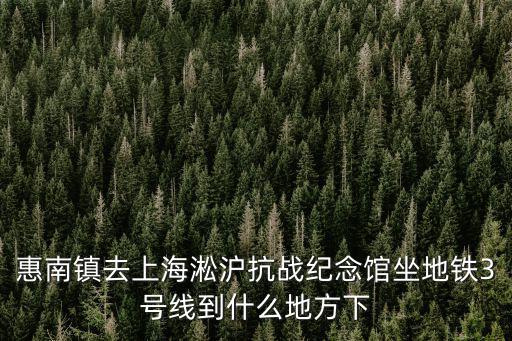 惠南鎮(zhèn)去上海淞滬抗戰(zhàn)紀(jì)念館坐地鐵3號(hào)線到什么地方下