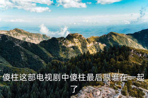 傻柱這部電視劇中傻柱最后跟誰在一起了