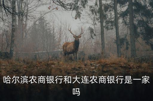 哈爾濱農商銀行，哈爾濱農商銀行和大連農商銀行是一家嗎