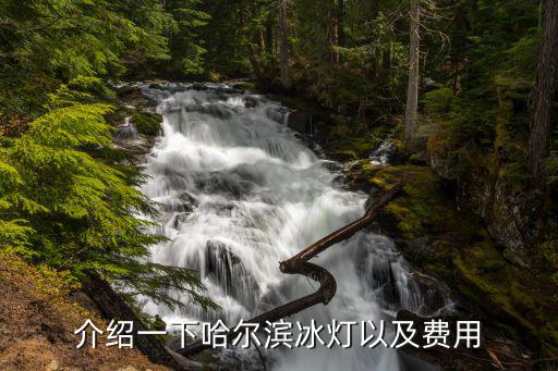 介紹一下哈爾濱冰燈以及費用