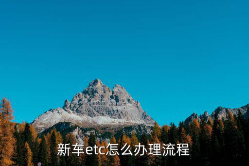 etc辦理流程，廣東中行ETC辦理流程是什么