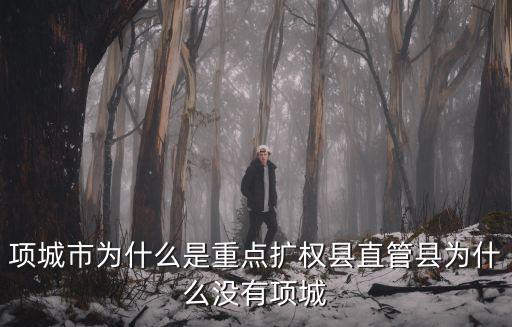 項城市為什么是重點擴權縣直管縣為什么沒有項城