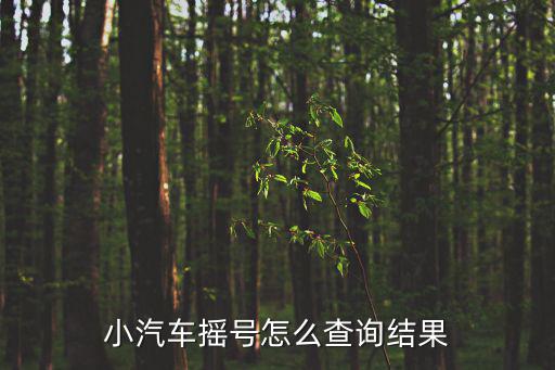 小汽車搖號怎么查詢結果