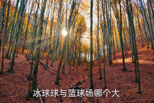 冰球場，冰球球與籃球場哪個大