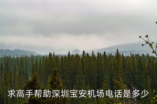 求高手幫助深圳寶安機(jī)場電話是多少