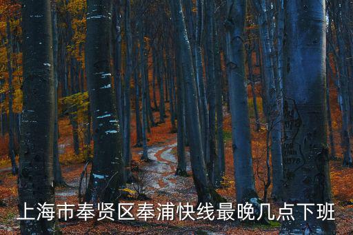 上海市奉賢區奉浦快線最晚幾點下班