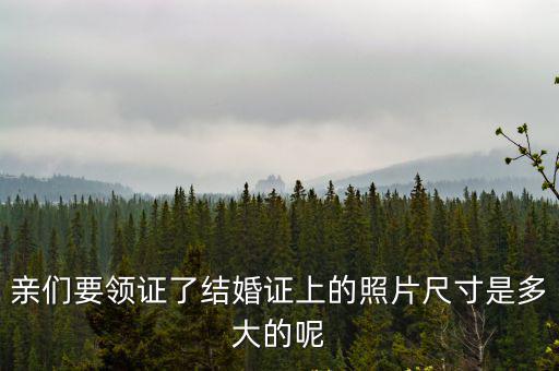 結婚登記照尺寸，結婚證上的照片要多大尺寸有