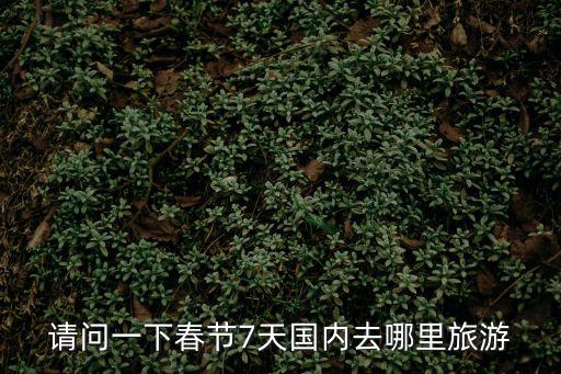 請問一下春節7天國內去哪里旅游