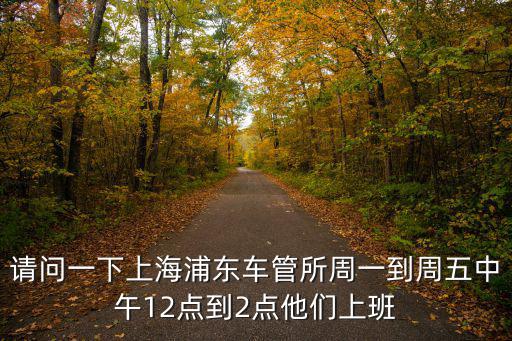 請問一下上海浦東車管所周一到周五中午12點到2點他們上班