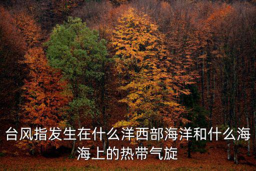 臺風指發生在什么洋西部海洋和什么海海上的熱帶氣旋