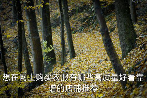 想在網(wǎng)上購買衣服有哪些高質(zhì)量好看靠譜的店鋪推薦