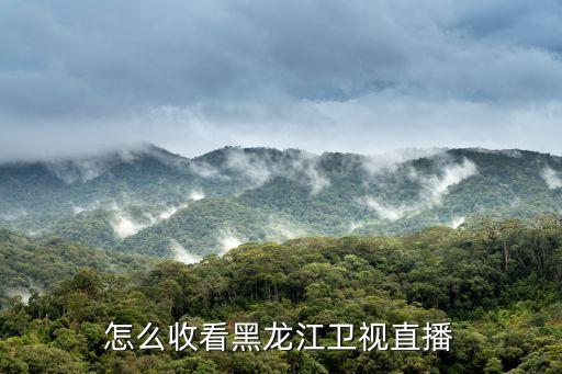 怎么收看黑龍江衛視直播
